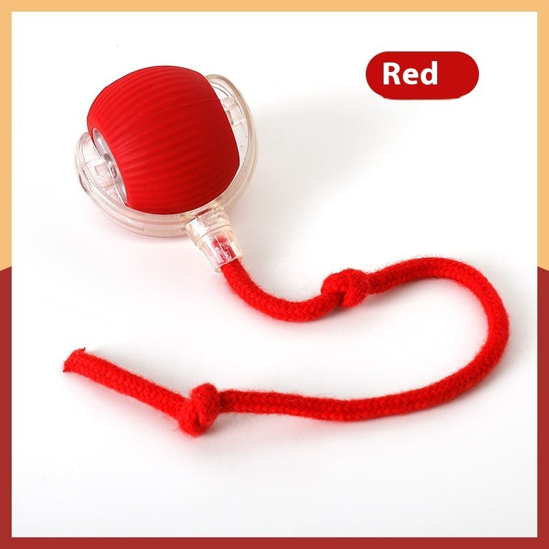 Interactive Cat Toy Ball – Super Drive Rolling Ball for Cats