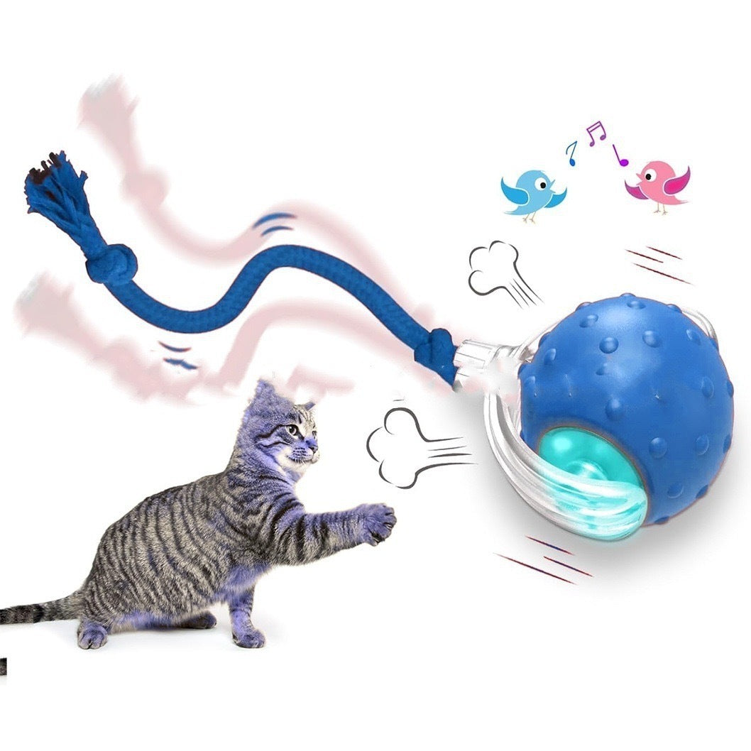 Interactive Cat Toy Ball – Super Drive Rolling Ball for Cats