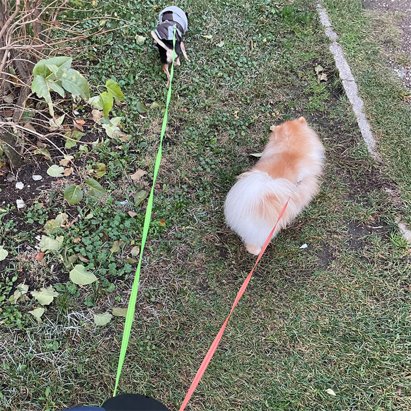 Retractable Dual Dog Leash – Reflective 360° Swivel with LED Light