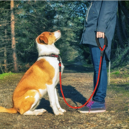 Reflective Nylon Dog Leash – Durable Walking & Training Lead for Small, Medium & Large Dogs