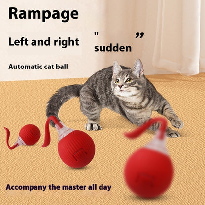Interactive Cat Toy Ball – Super Drive Rolling Ball for Cats