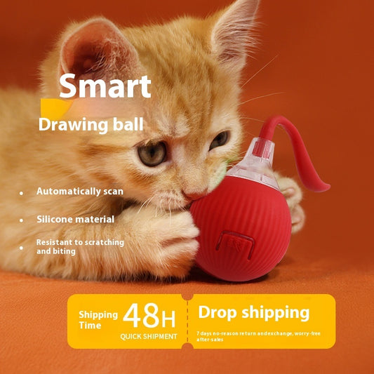Interactive Cat Toy Ball – Super Drive Rolling Ball for Cats