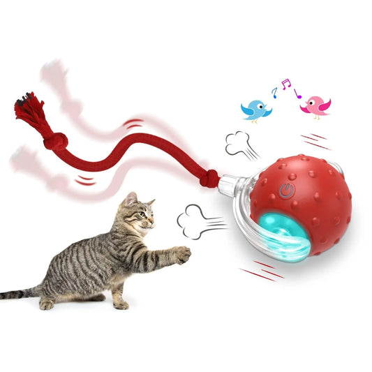 Interactive Cat Toy Ball – Super Drive Rolling Ball for Cats